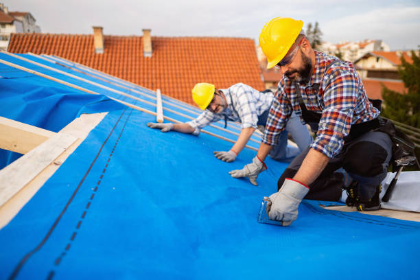 Best Roof Gutter Cleaning  in Montgomery, TX